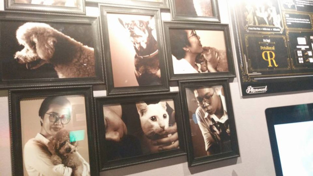 The One Academy PHENOMENAL 1408 event